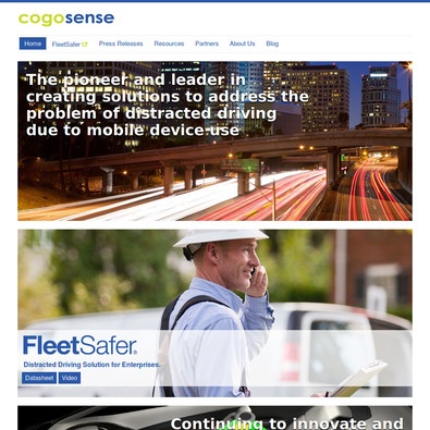 FleetSafer Review
