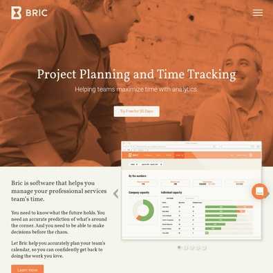 Bric Review