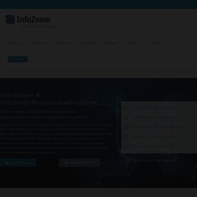 InfoZoom Review