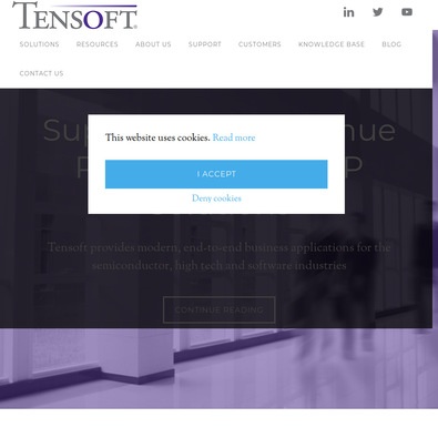 Tensoft Fabless Semiconductor Management (FSM) Review